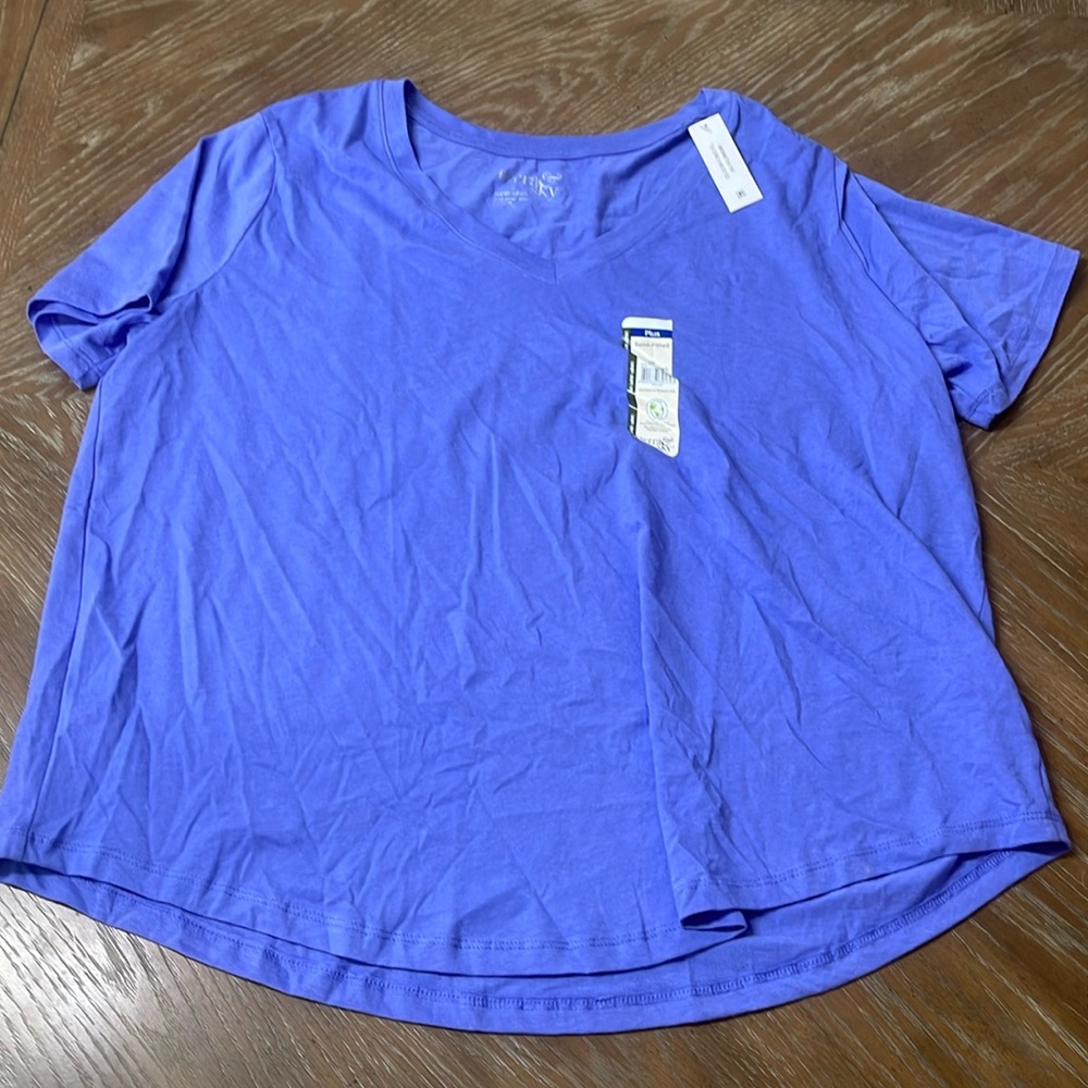 1X Terra & Sky Blue Tshirt NWT